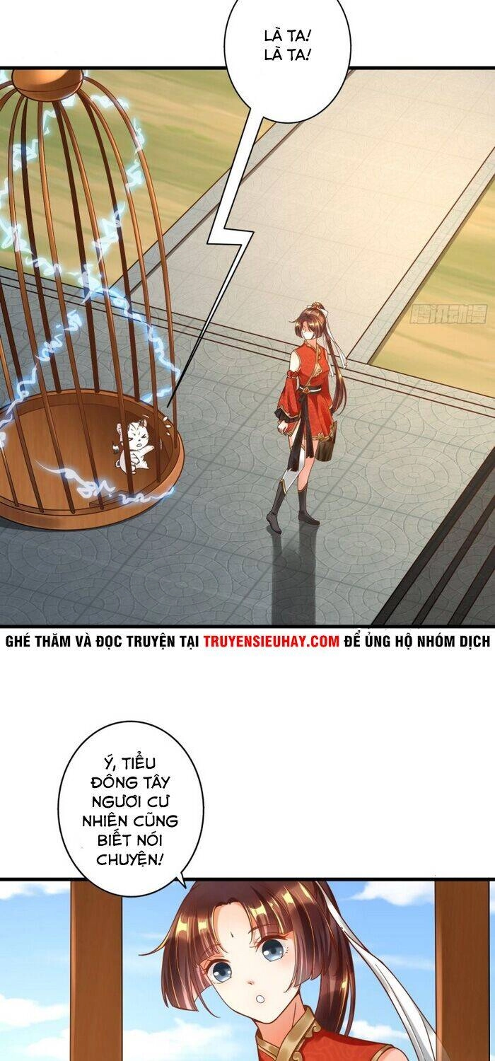 Bắt Đầu Từ Làm Ngón Tay Vàng Chapter 1 - 24