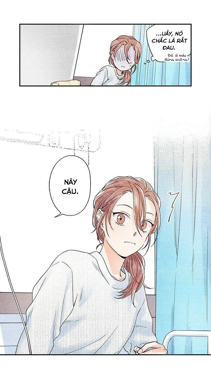 Ánh Nắng Rực Rỡ Chapter 2 - 7