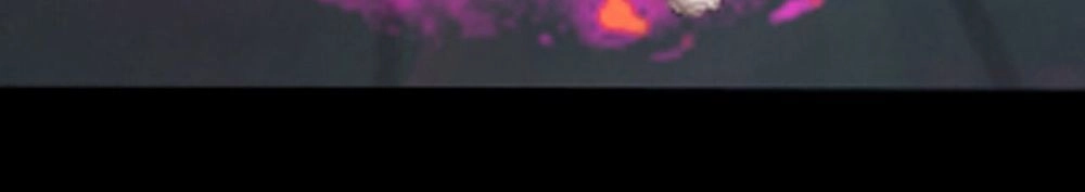 Một Mình Dạo Quanh Hầm Ngục Chapter 2 - 69