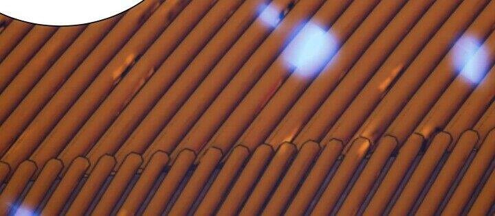 Bí Mật Của Dạ Tộc Chapter 7.1 - 73