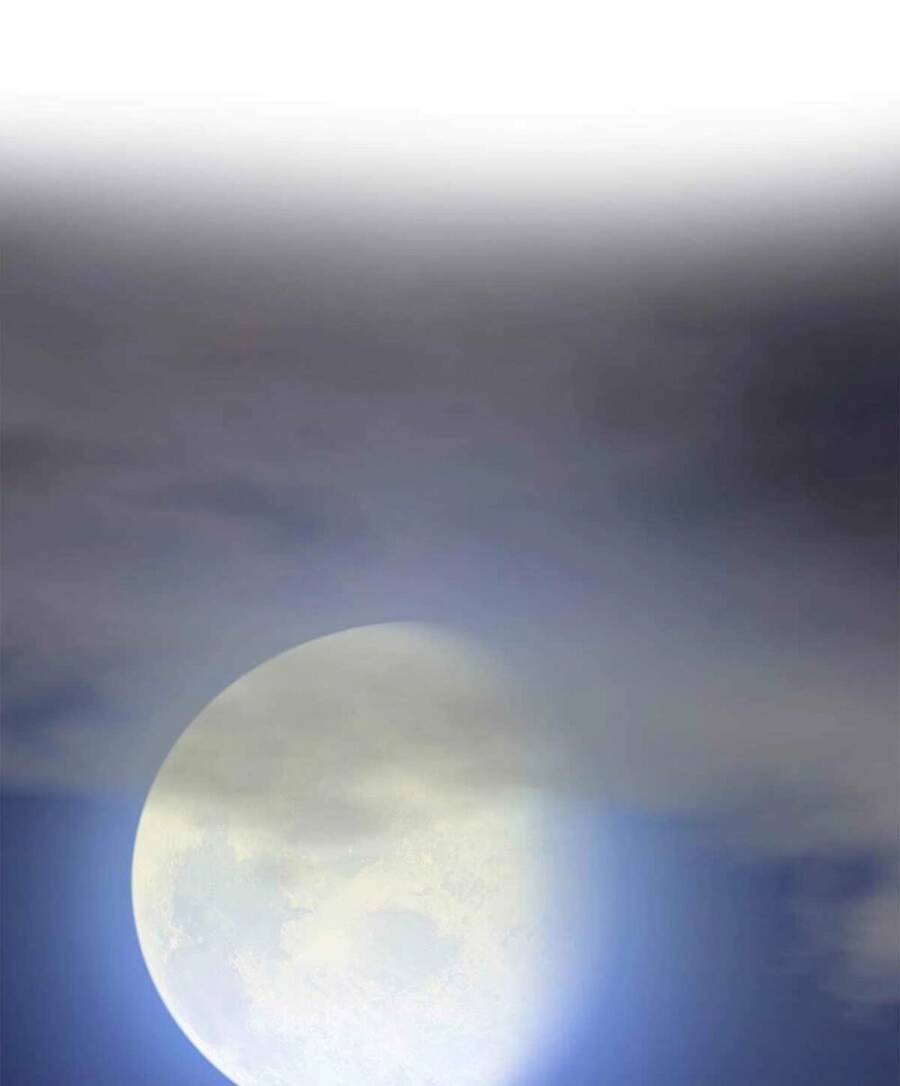 Bảo Tiêu Chapter 18 - 26