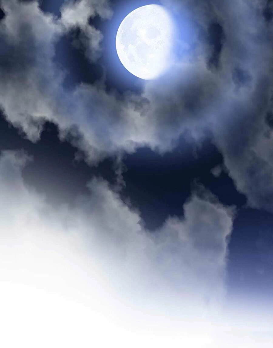 Bảo Tiêu Chapter 18 - 43