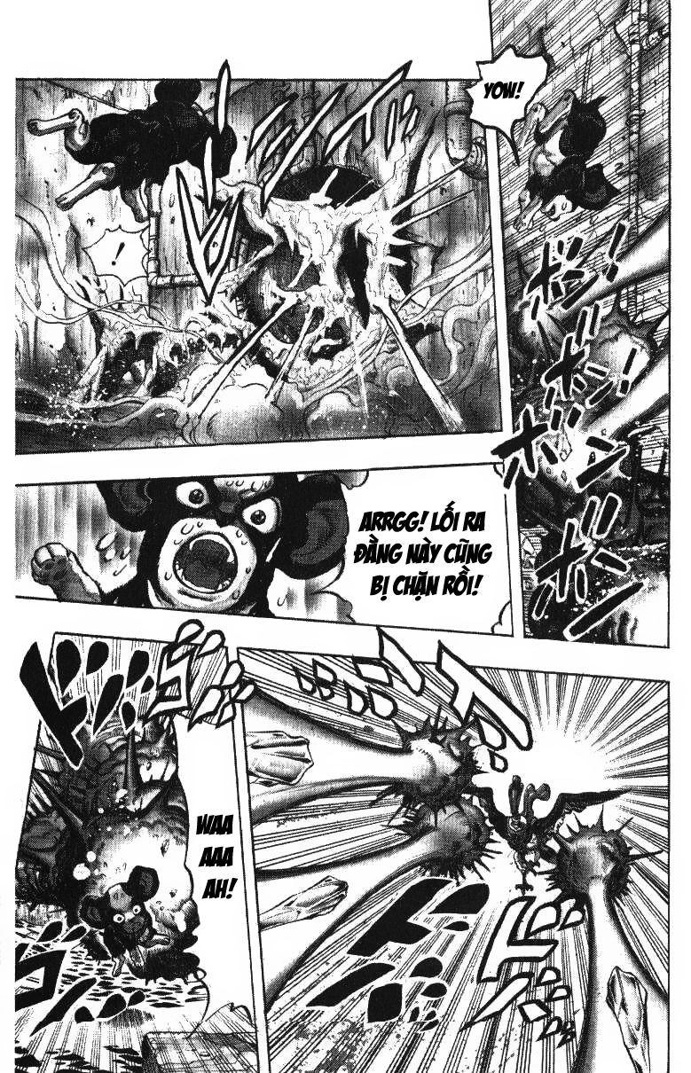 Cuộc Phiêu Lưu Bí Ẩn Chapter 225 - 11