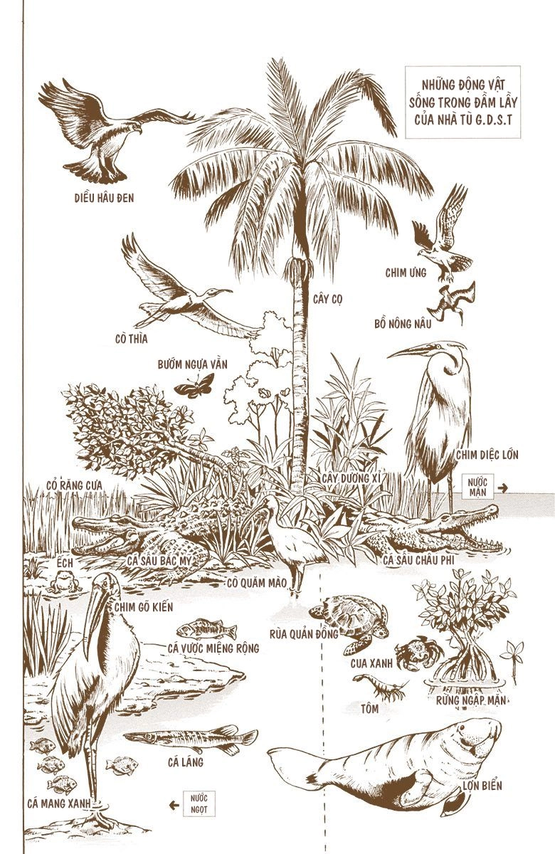 Cuộc Phiêu Lưu Bí Ẩn Chapter 678 - 21