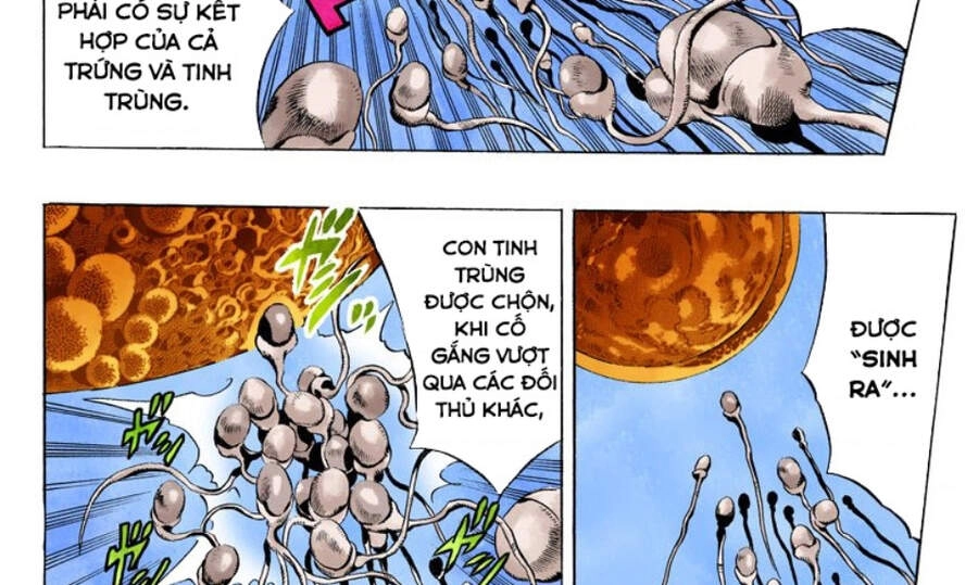 Cuộc Phiêu Lưu Bí Ẩn Chapter 705 - 40