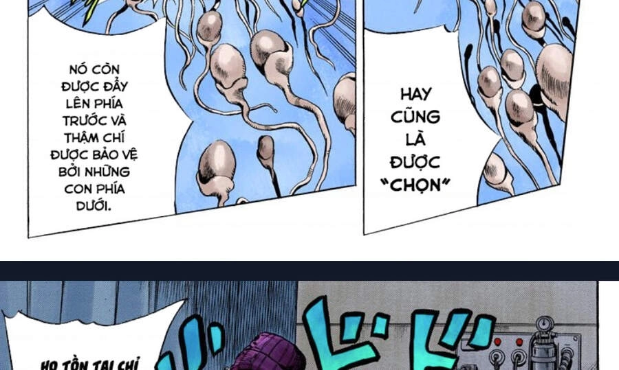 Cuộc Phiêu Lưu Bí Ẩn Chapter 705 - 41