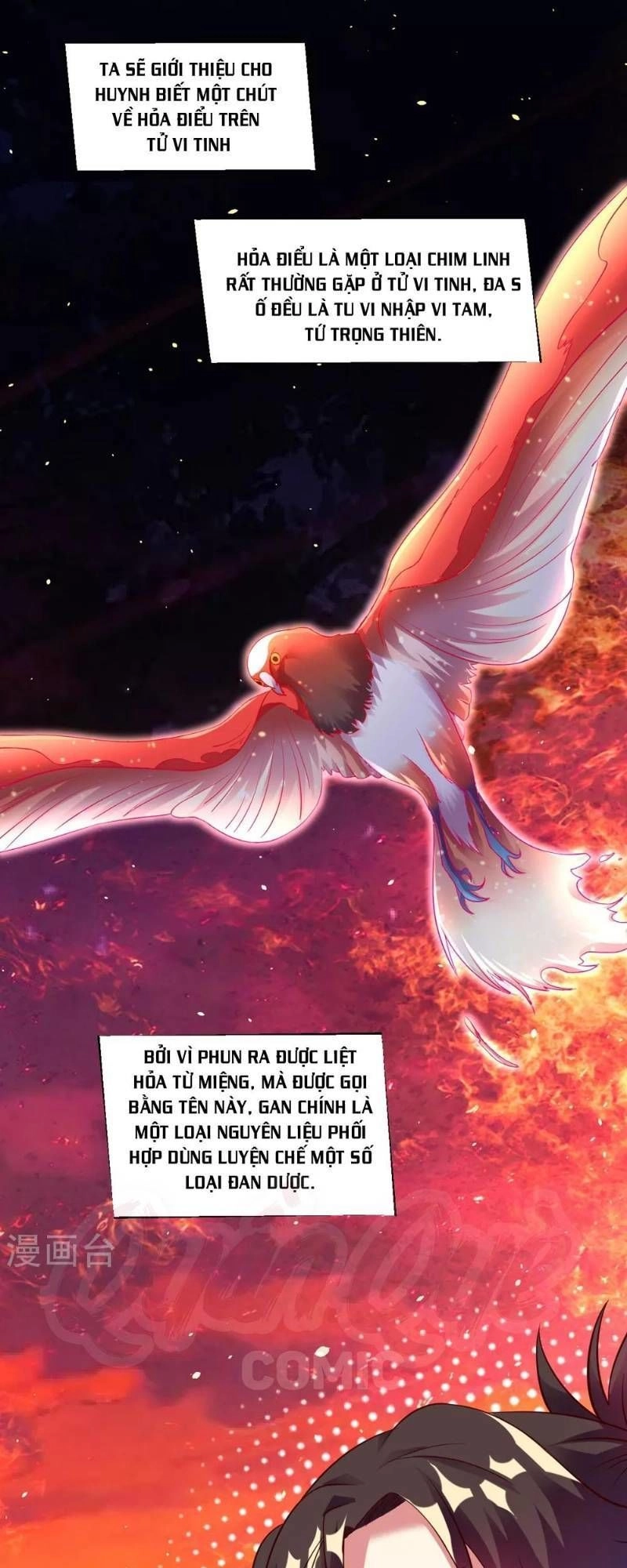 Đạo Ấn Chapter 29 - 3