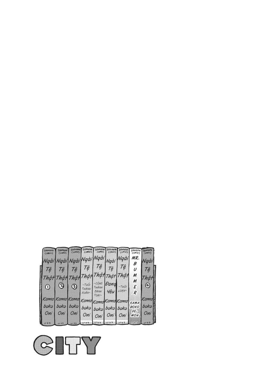 City Chapter 17 - 13