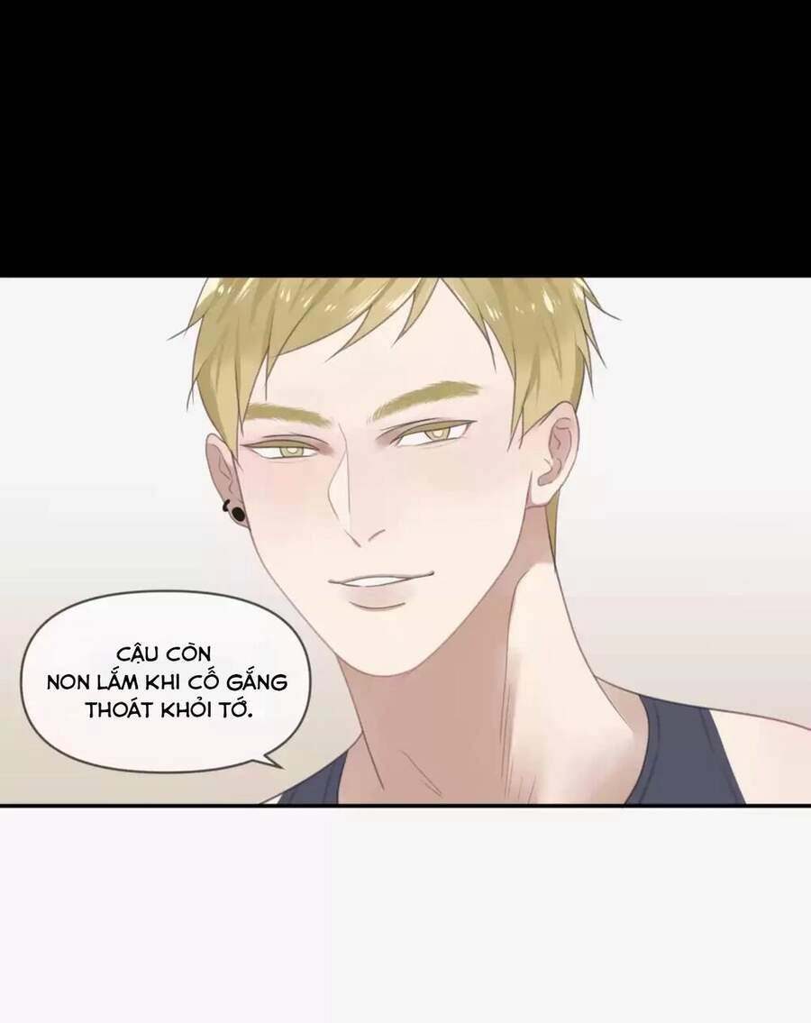 Chỉ Hai Chúng Ta Chapter 28 - 12