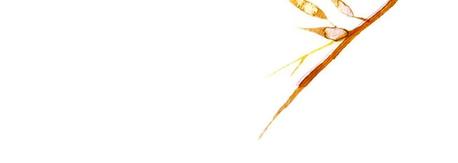 Mỹ Nhân Làm Tướng Chapter 57 - 13