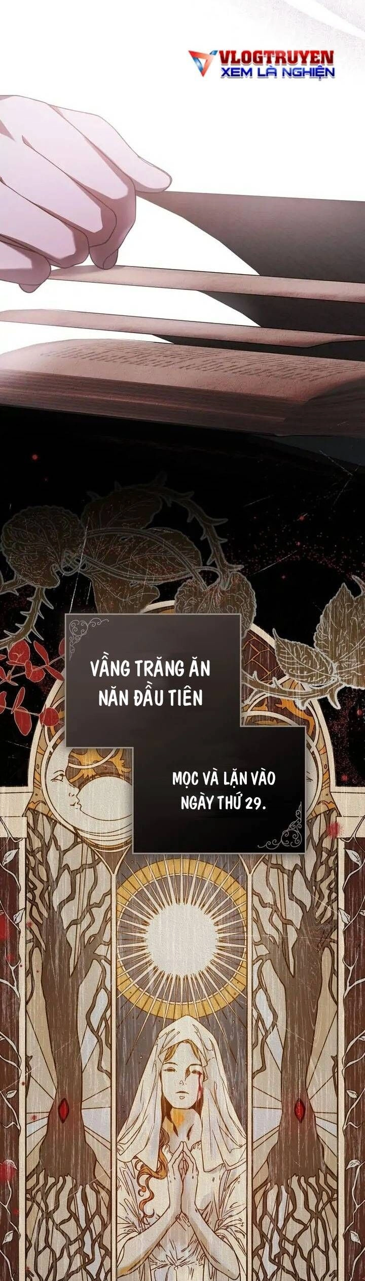 Ánh Trăng Đỏ Trong Đêm Chapter 6 - 6
