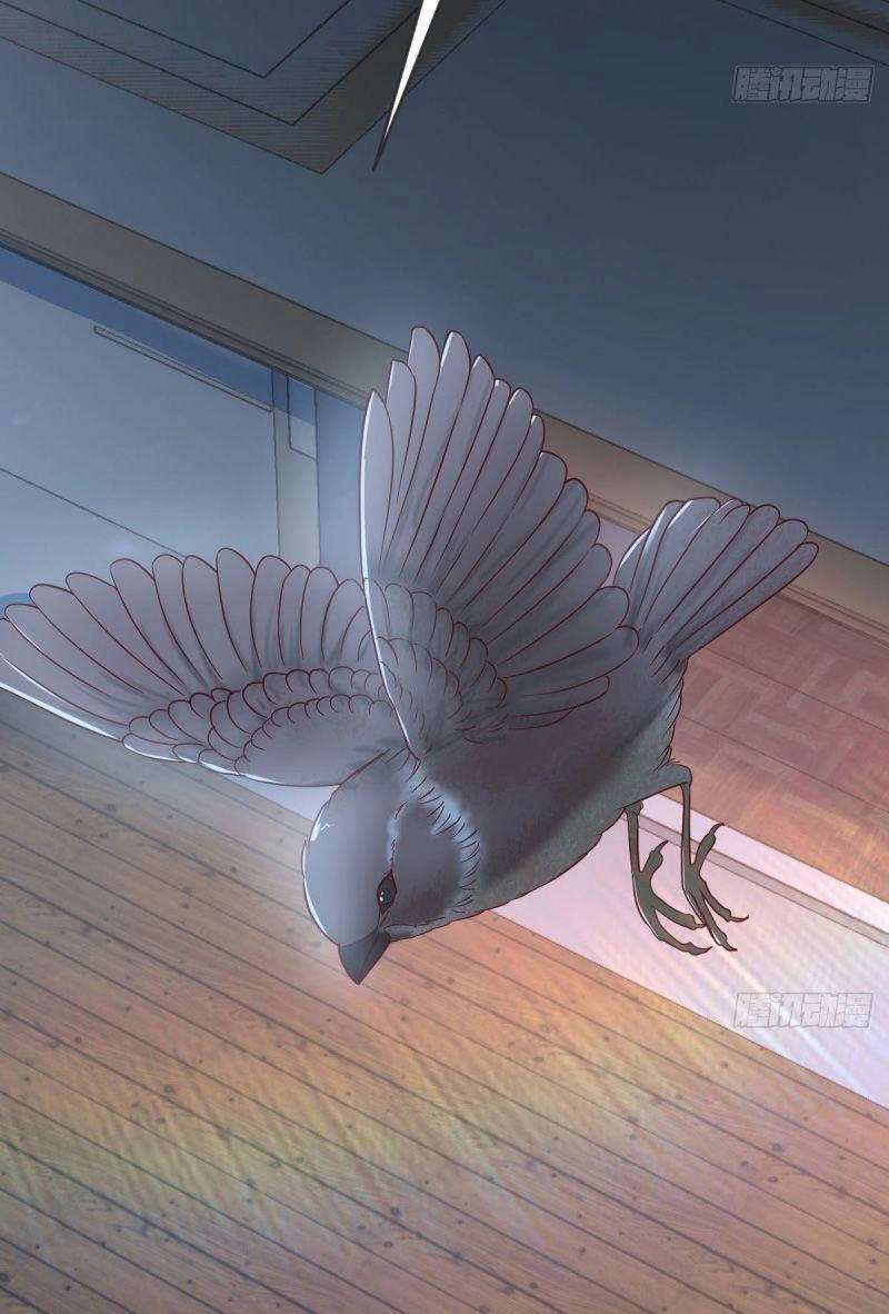 Y Thánh Thiên Tài Tại Hoa Đô Chapter 28 - 28