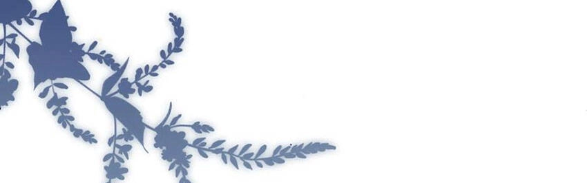 Nhiệt Độ Xã Giao Chapter 40 - 32