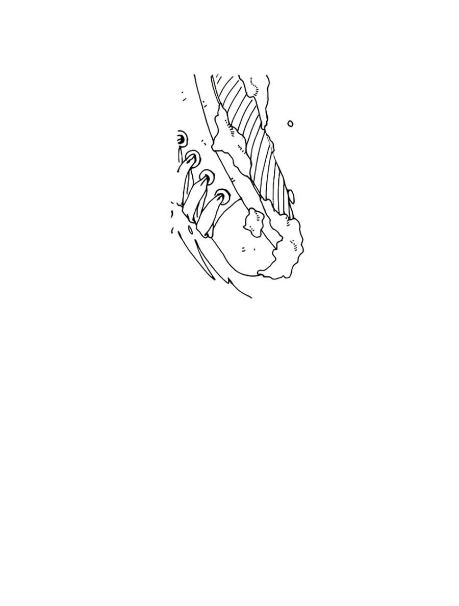 Chuyện Chết Chóc Chapter 6 - 26