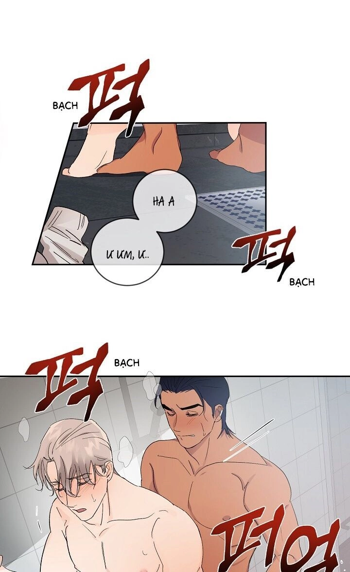 Kẻ Cắp Mặt Trăng Chapter 11 - 28