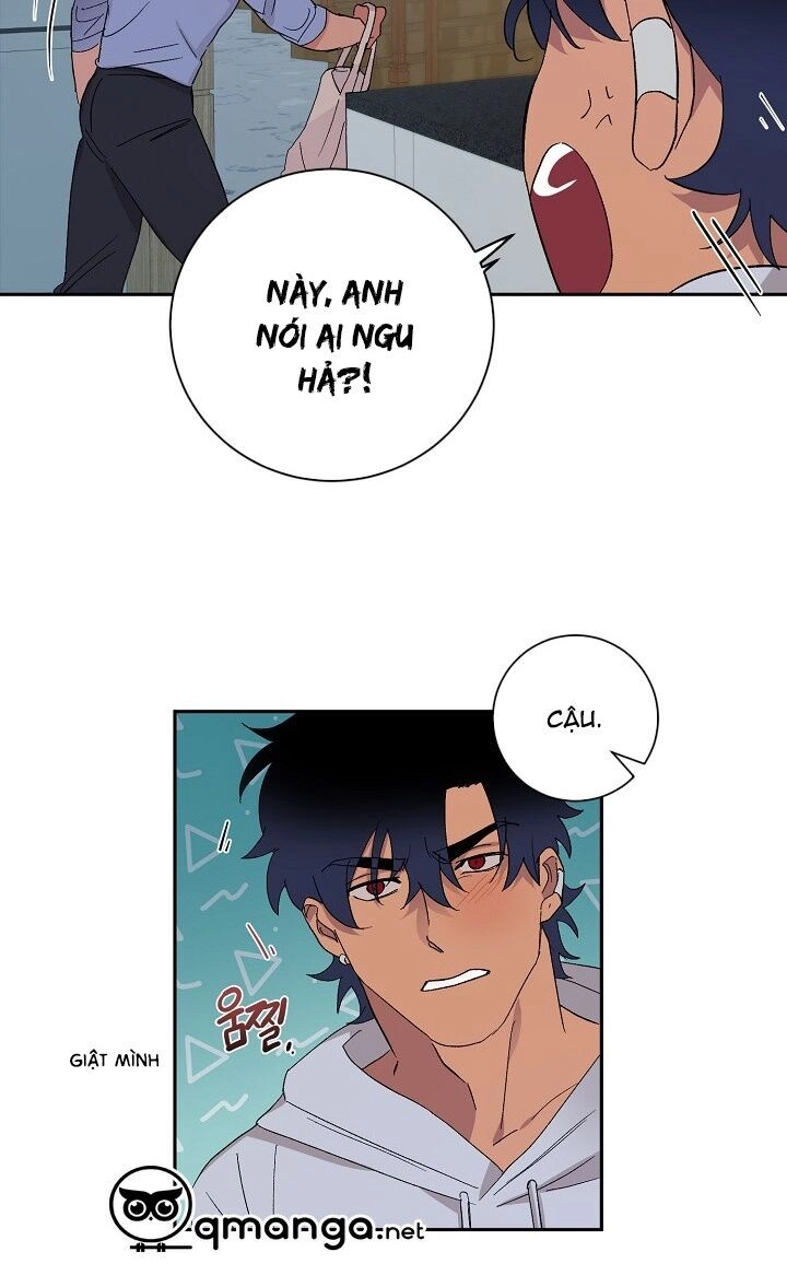 Kẻ Cắp Mặt Trăng Chapter 11 - 56