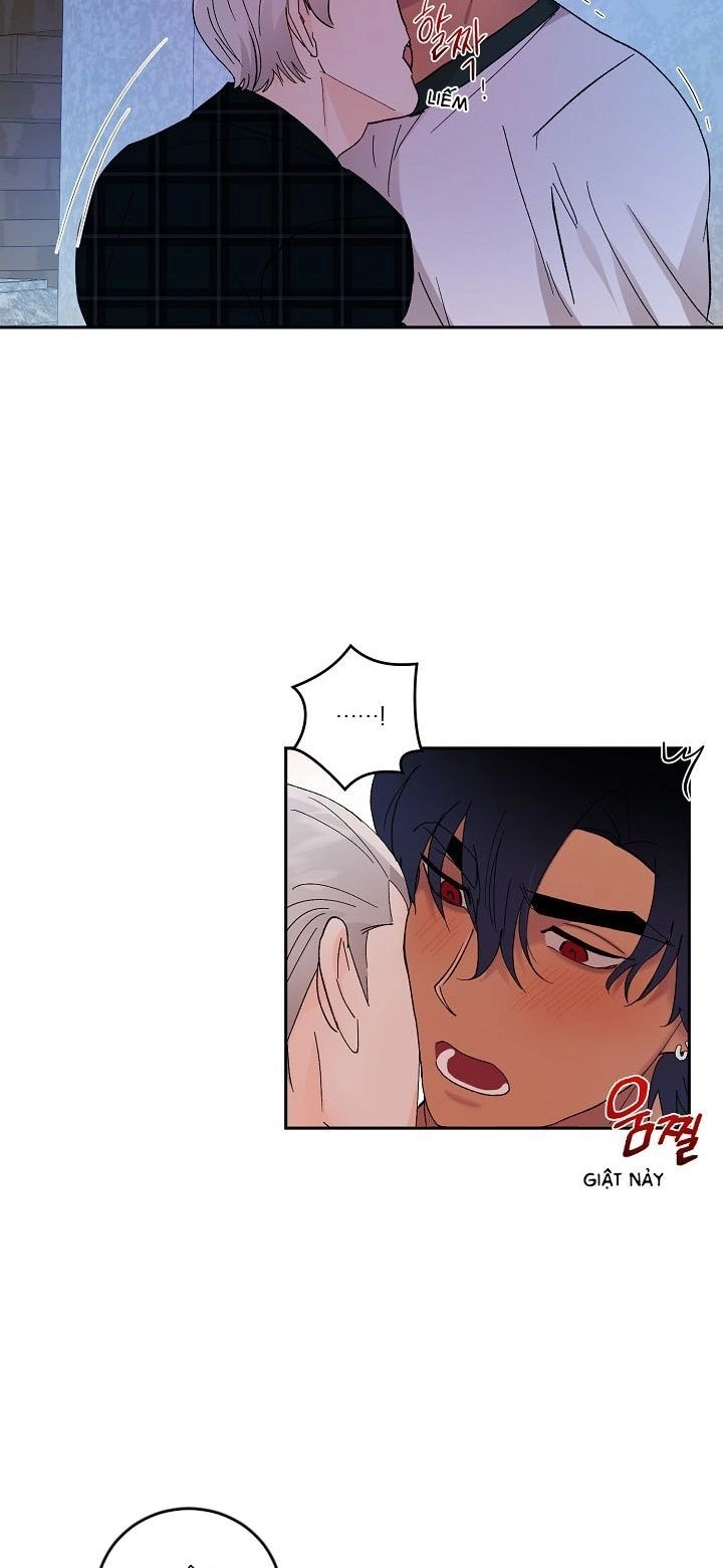 Kẻ Cắp Mặt Trăng Chapter 18 - 38