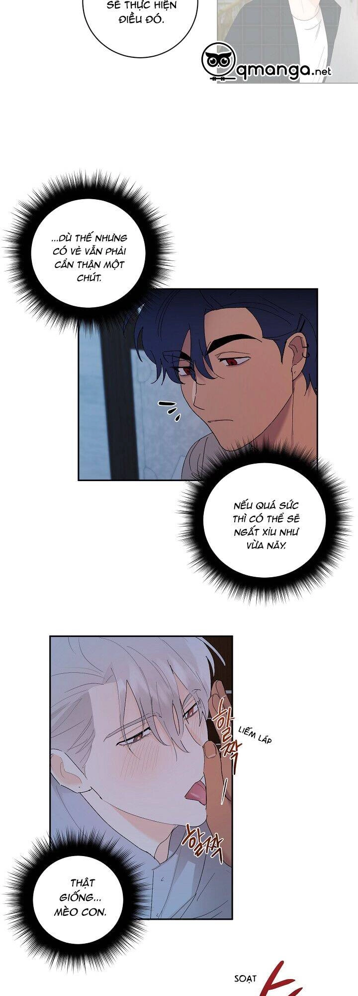 Kẻ Cắp Mặt Trăng Chapter 22 - 8