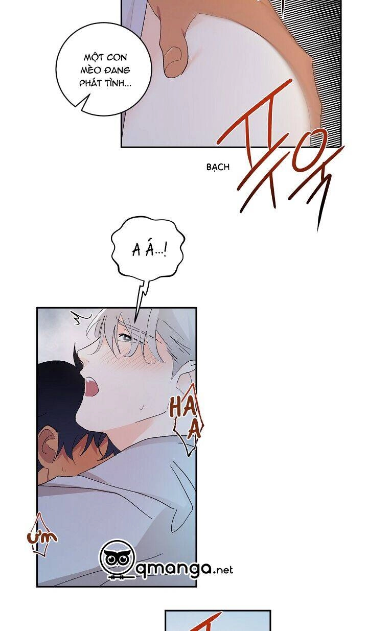 Kẻ Cắp Mặt Trăng Chapter 22 - 19