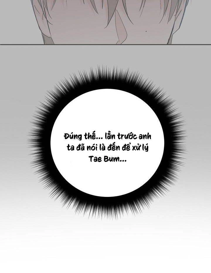 Kẻ Cắp Mặt Trăng Chapter 35 - 46