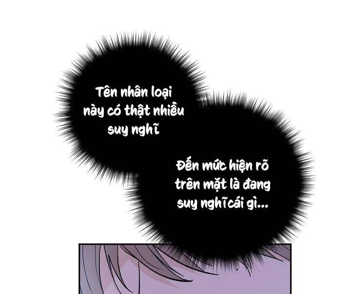 Kẻ Cắp Mặt Trăng Chapter 37 - 21