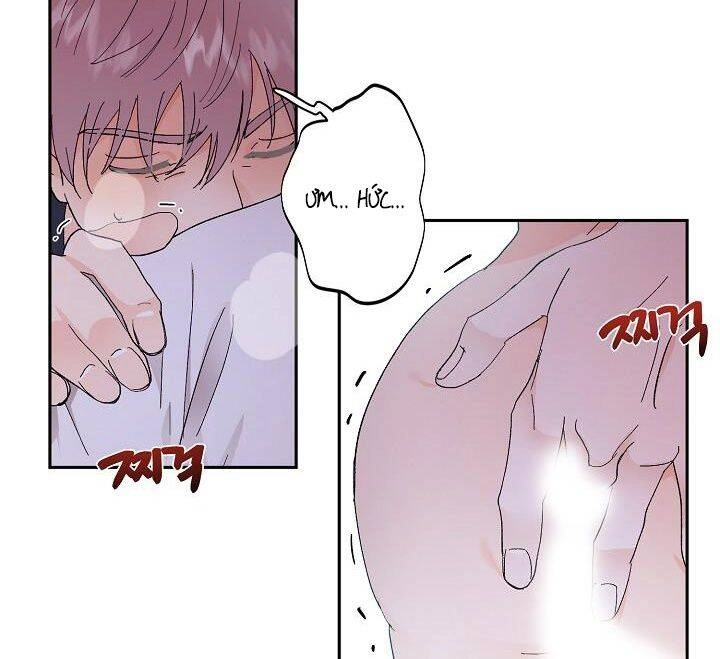 Kẻ Cắp Mặt Trăng Chapter 37 - 49