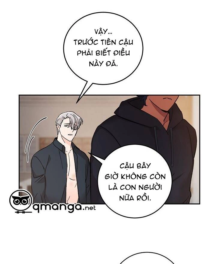 Kẻ Cắp Mặt Trăng Chapter 41 - 8