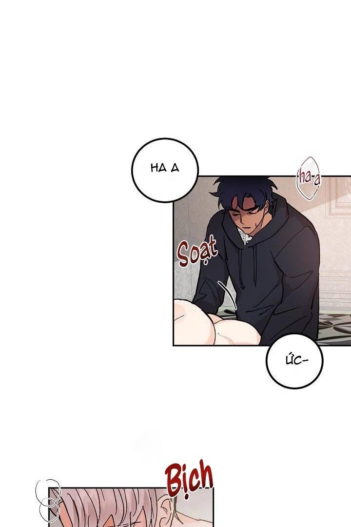 Kẻ Cắp Mặt Trăng Chapter 41 - 40