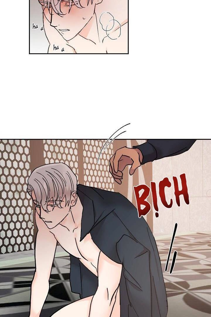 Kẻ Cắp Mặt Trăng Chapter 41 - 41