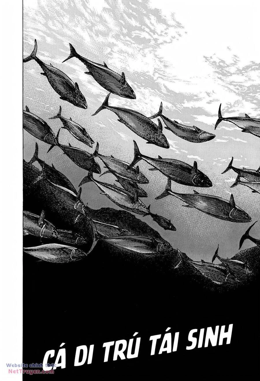 Maeda Taison Blues Chapter 279 - 2