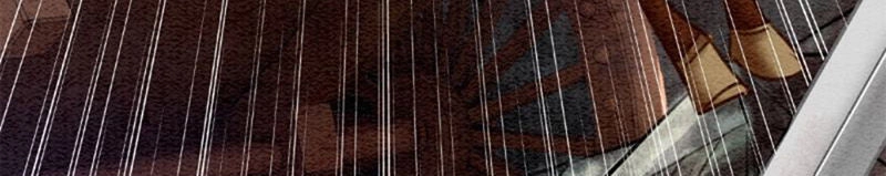 Hậu Cung Của Trẫm Cháy Rồi! Chapter 30 - 7