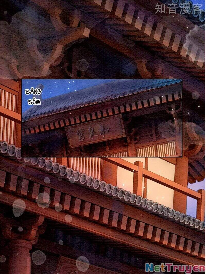 Hậu Cung Của Trẫm Cháy Rồi! Chapter 71 - 21