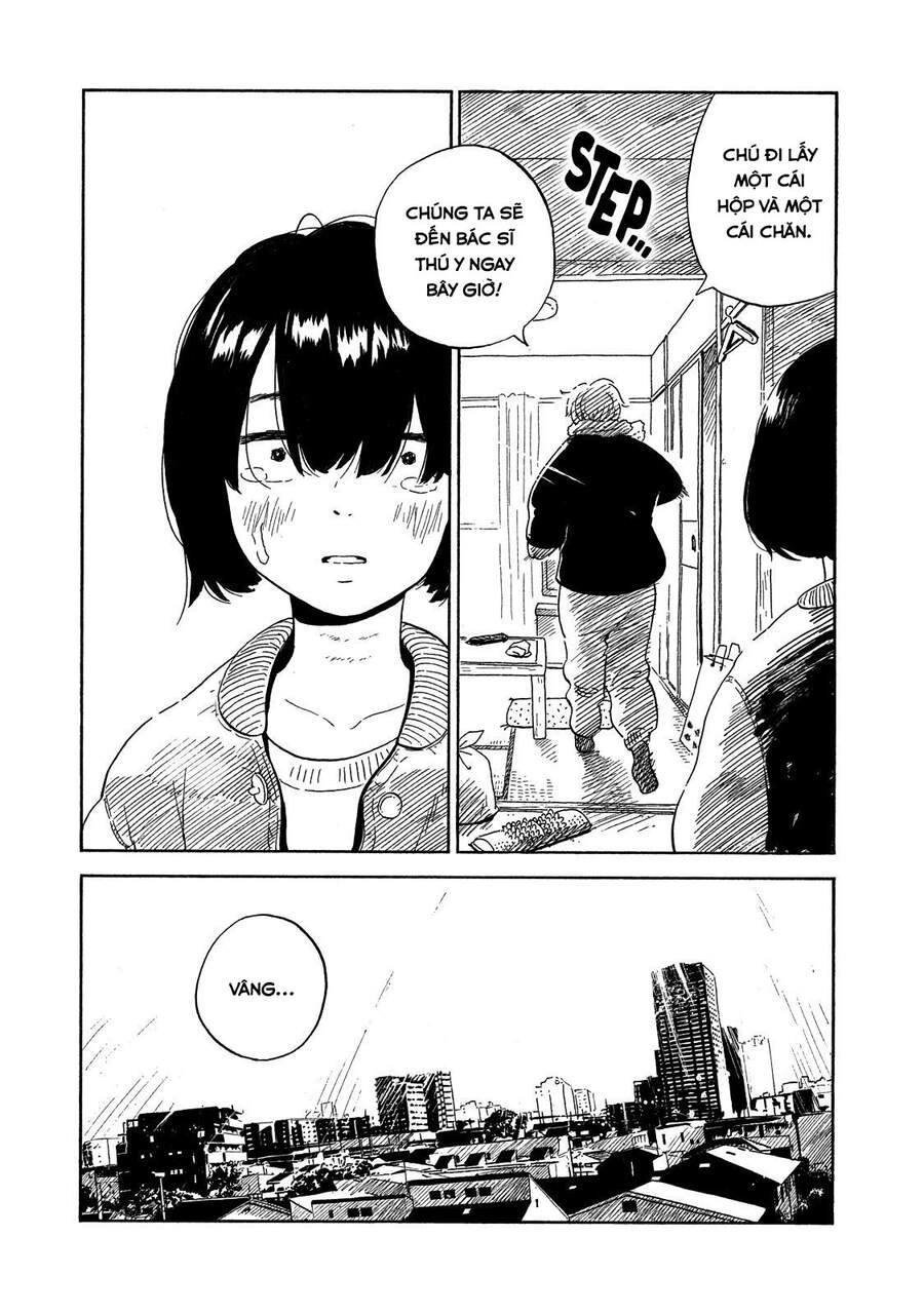 Nora To Zassou Chapter 10 - 4