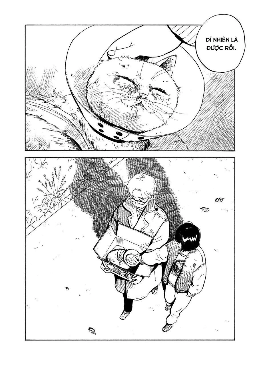 Nora To Zassou Chapter 10 - 19