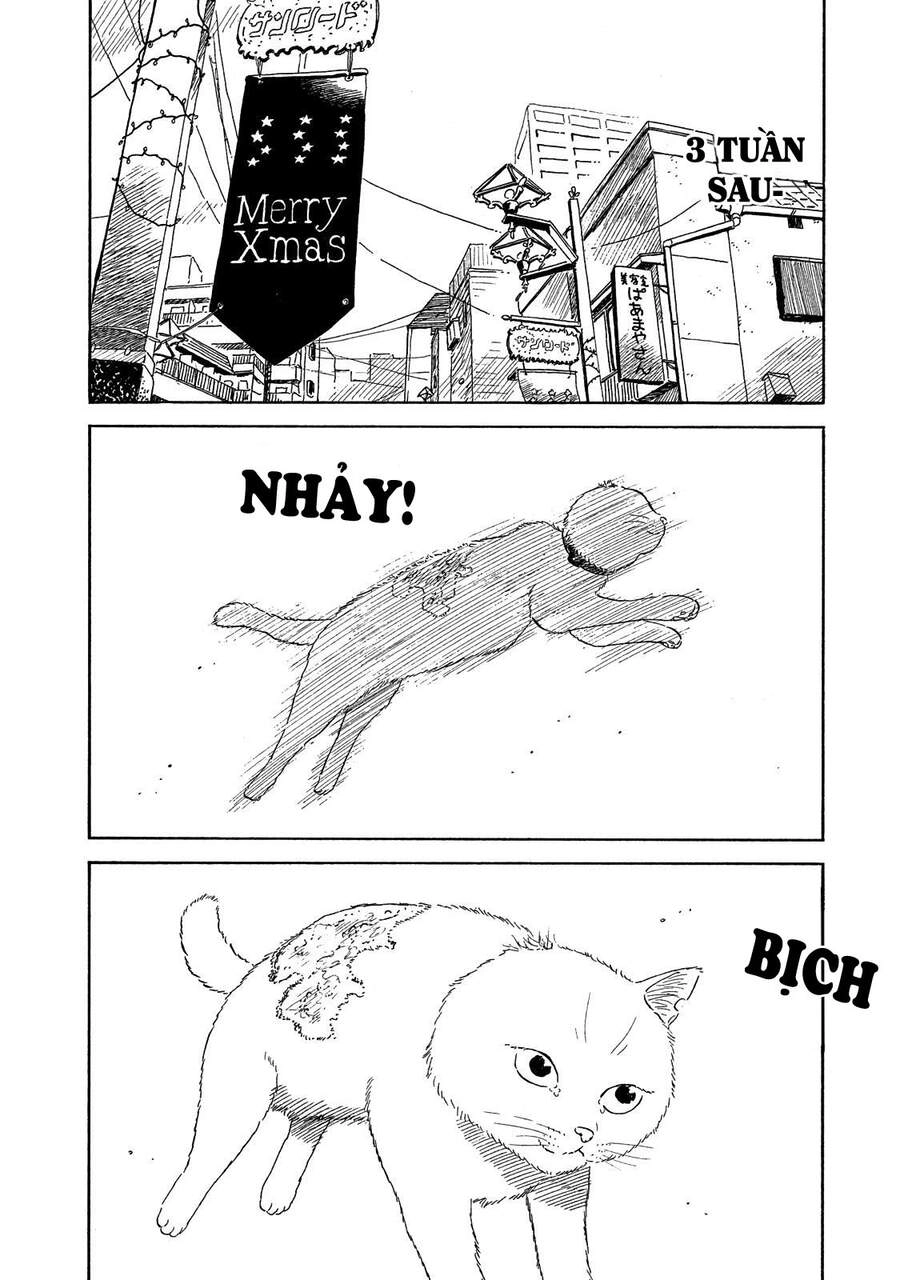 Nora To Zassou Chapter 10 - 21