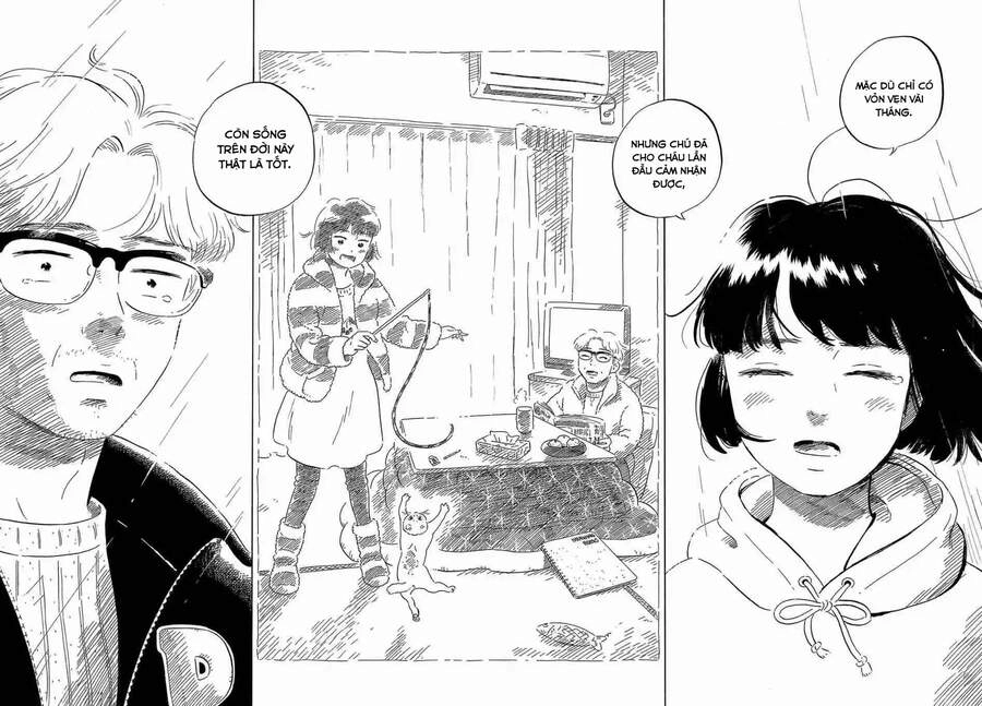 Nora To Zassou Chapter 24 - 20