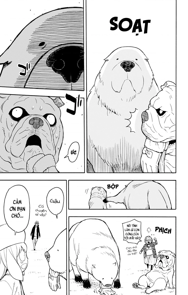 Gia Đình Điệp Viên Chapter 52.16 - 19