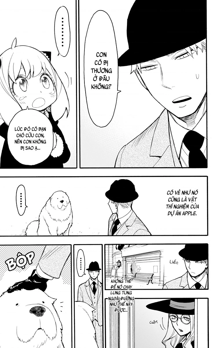 Gia Đình Điệp Viên Chapter 52.17 - 15