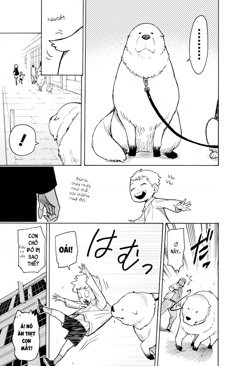 Gia Đình Điệp Viên Chapter 52.21 - 19