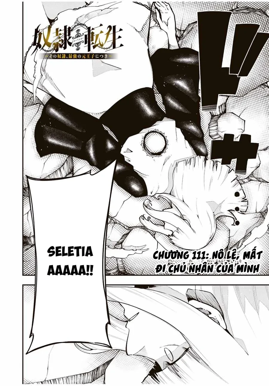 Cựu Hoàng Tử Mạnh Nhất Tái Sinh Thành Nô Lệ Chapter 111 - 3