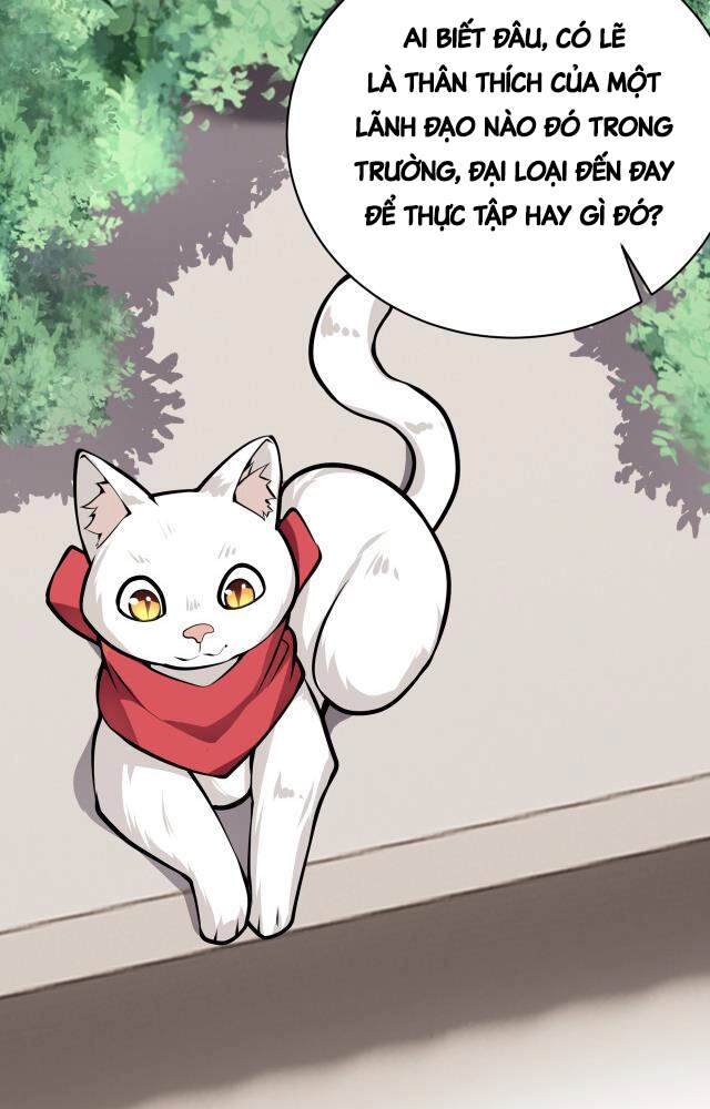 Vạn Vật Hợp Nhất Chapter 13 - 28