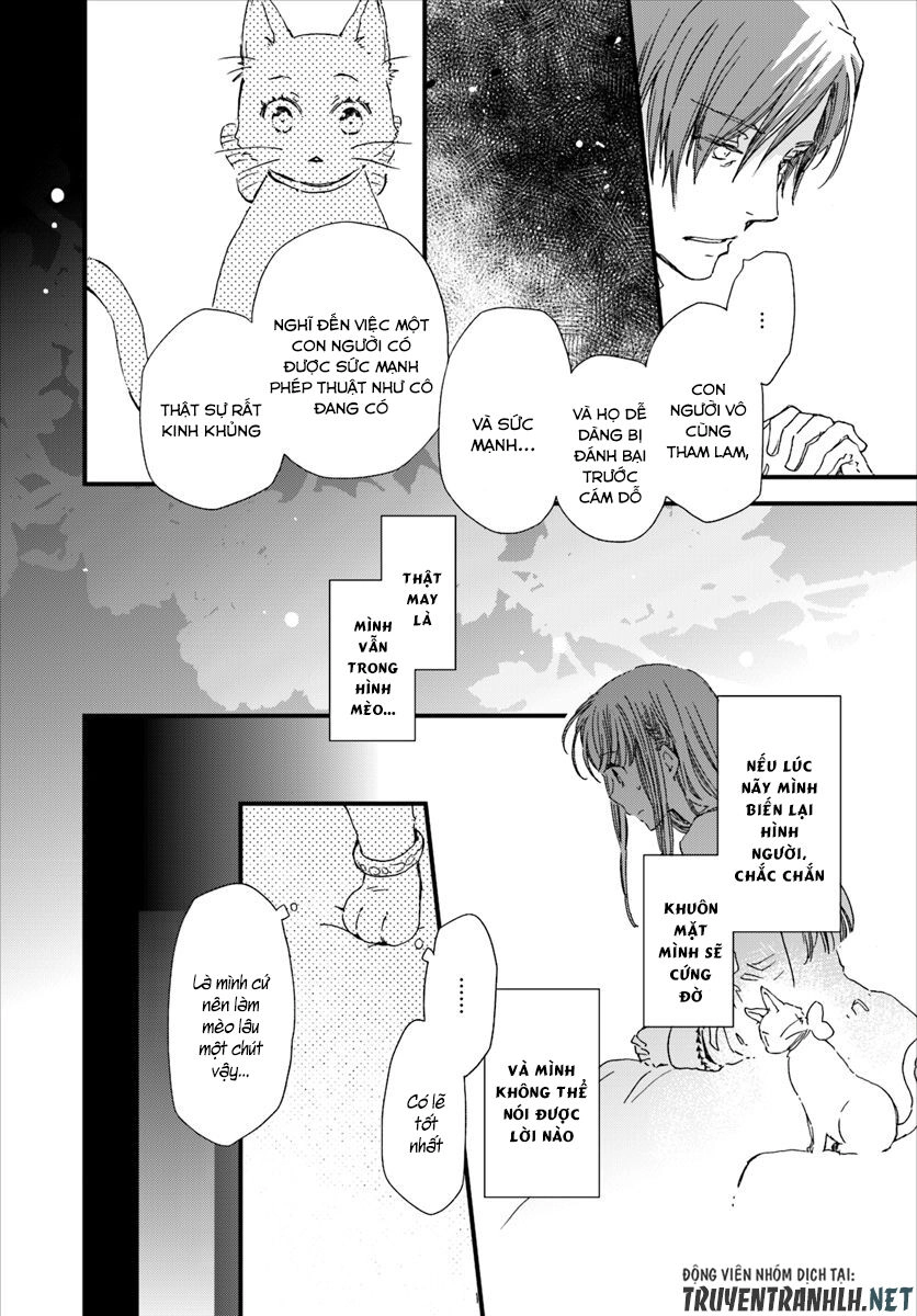 Fukushuu Wo Chikatta Shironeko Wa Ryuuou No Hiza No Jou De Damin Wo Musaboru Chapter 7 - 25