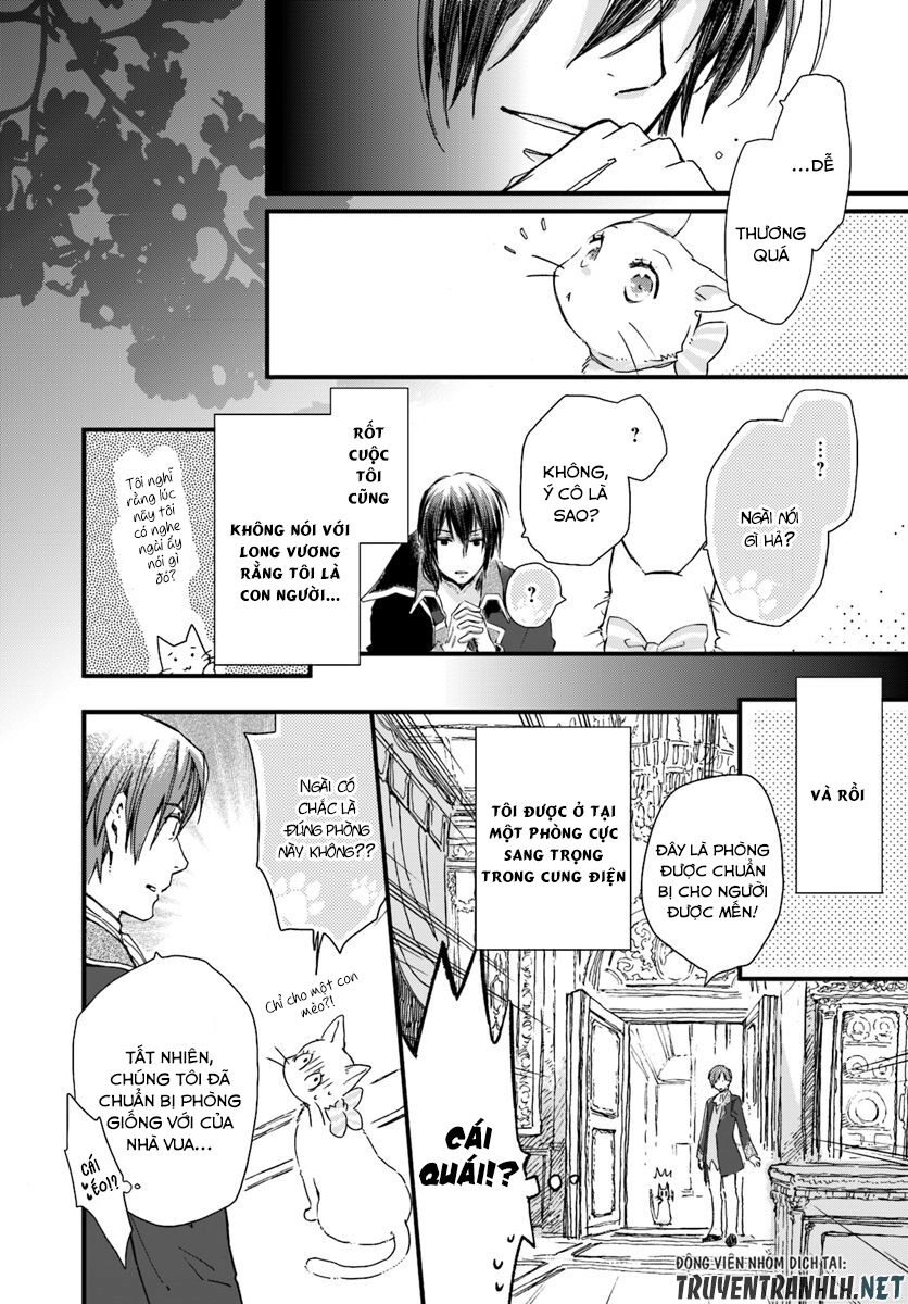 Fukushuu Wo Chikatta Shironeko Wa Ryuuou No Hiza No Jou De Damin Wo Musaboru Chapter 8 - 11
