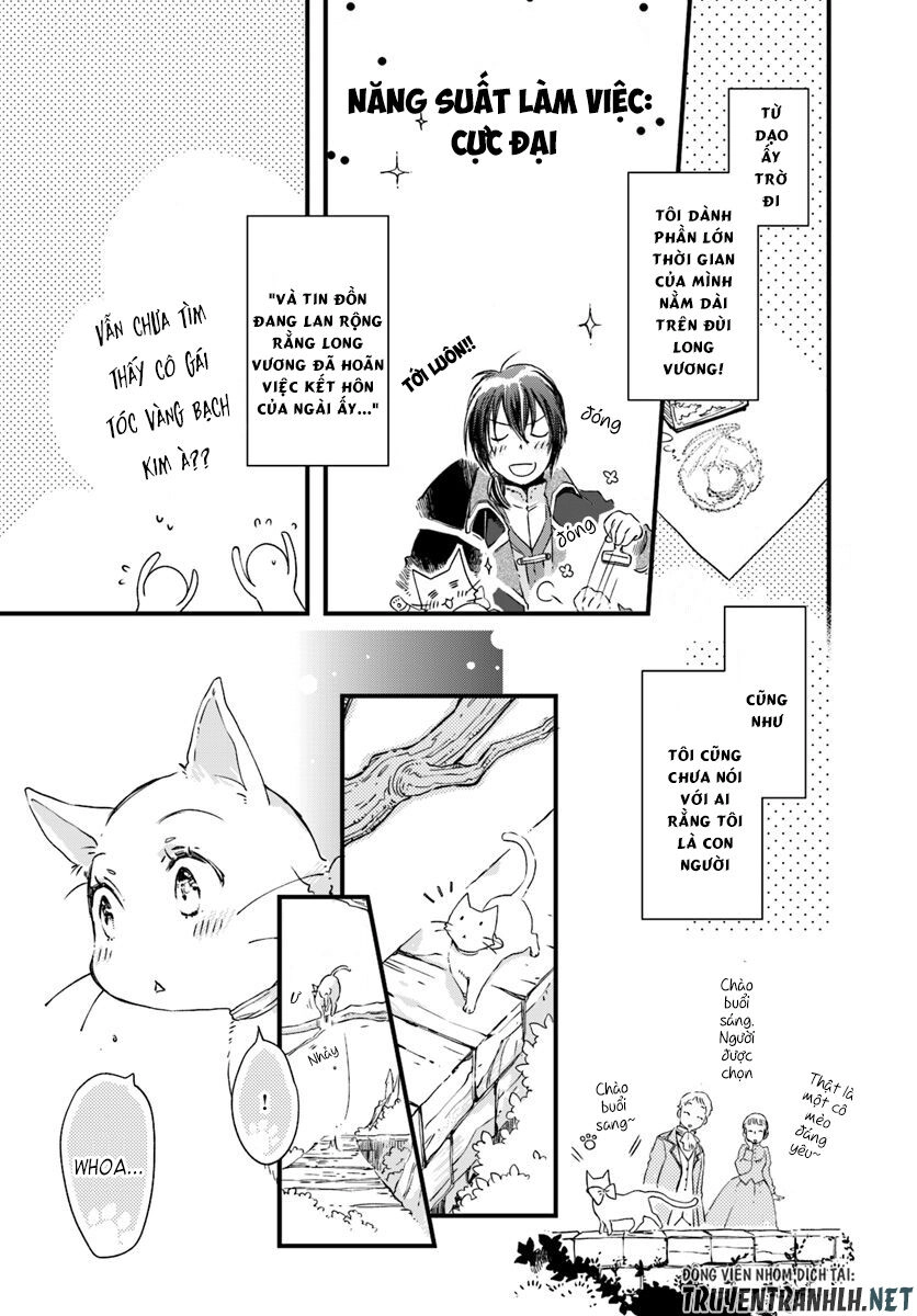 Fukushuu Wo Chikatta Shironeko Wa Ryuuou No Hiza No Jou De Damin Wo Musaboru Chapter 9 - 24