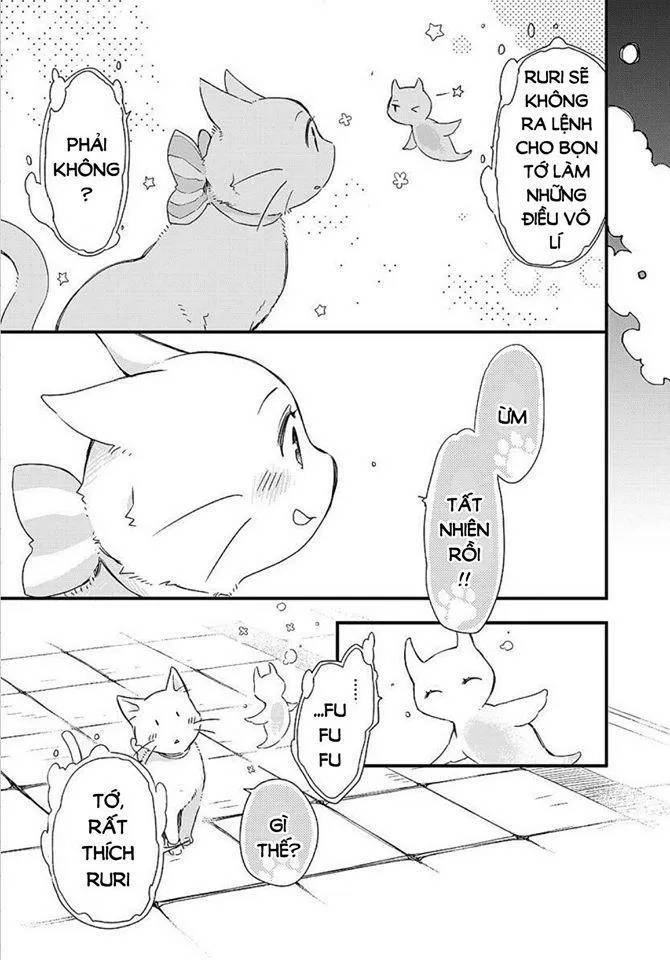 Fukushuu Wo Chikatta Shironeko Wa Ryuuou No Hiza No Jou De Damin Wo Musaboru Chapter 15 - 23