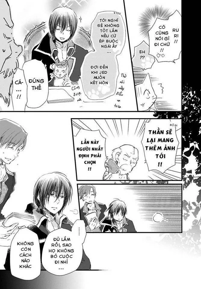 Fukushuu Wo Chikatta Shironeko Wa Ryuuou No Hiza No Jou De Damin Wo Musaboru Chapter 16 - 19