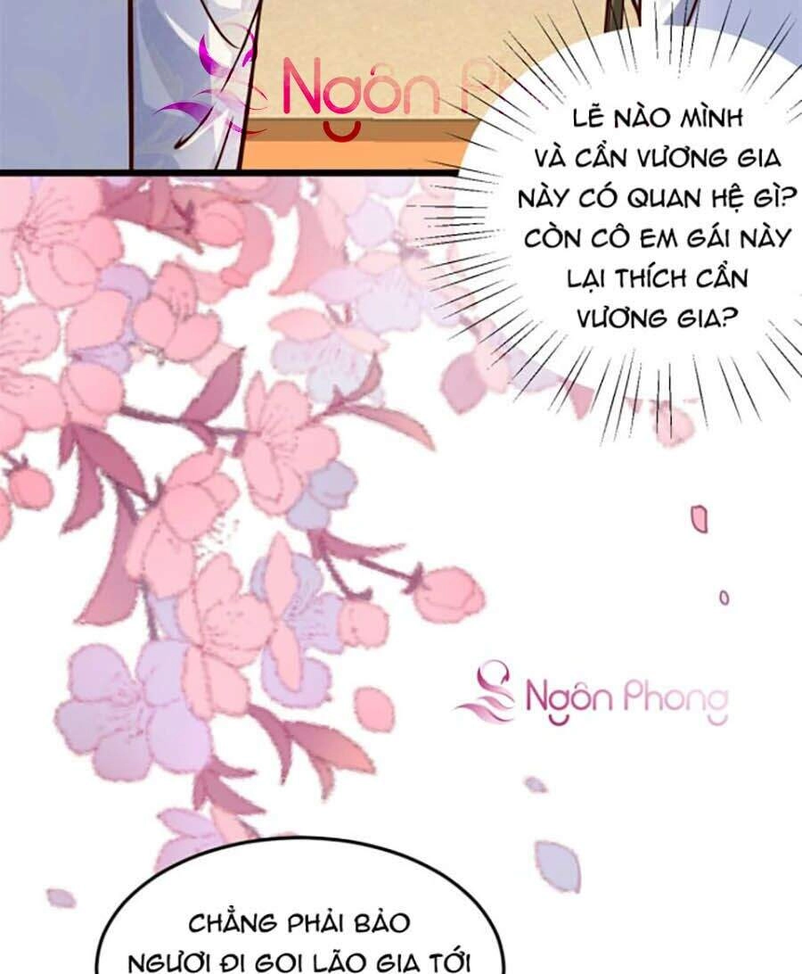 Phúc Hắc Vương Gia: Thê Tử Không Dễ Trêu Chapter 2 - 17