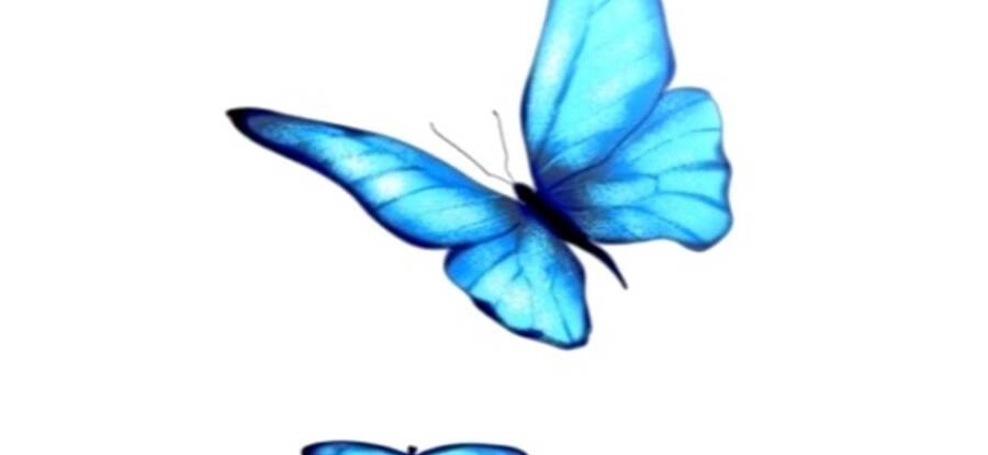 Chiền Thần Tự Sát Hồi Quy Chapter 47 - 59