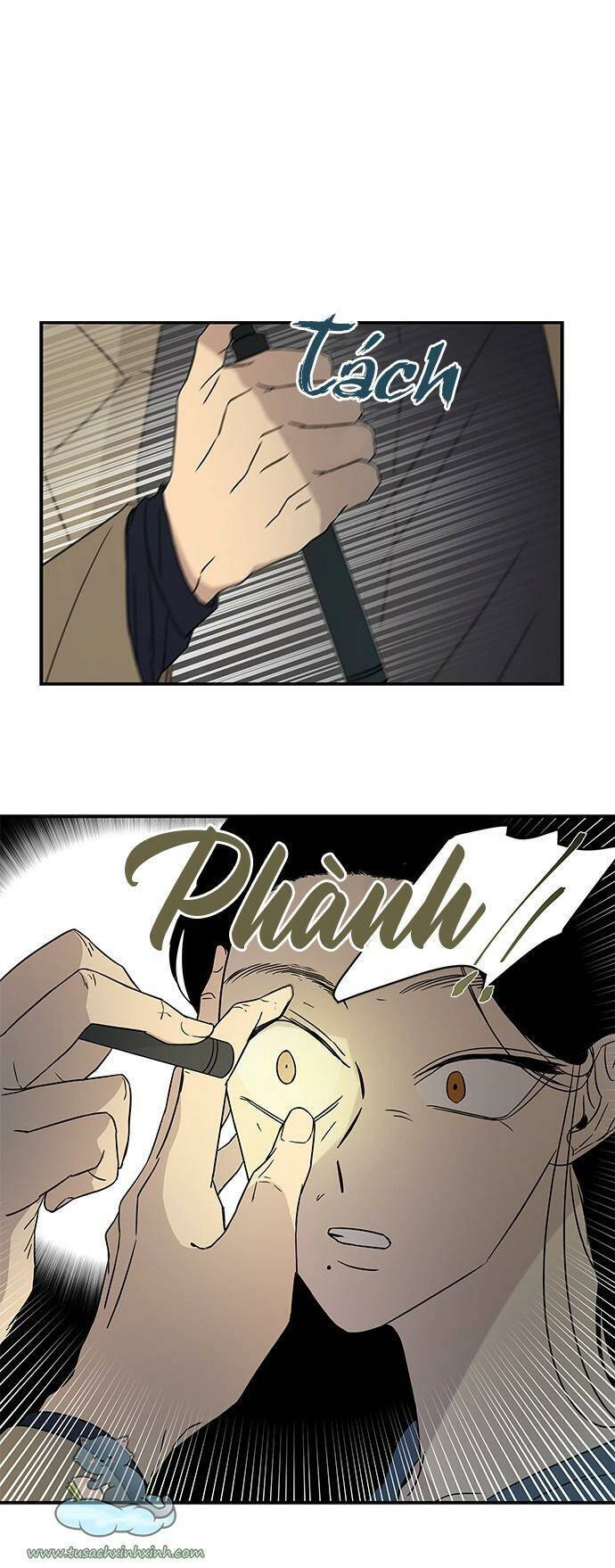 Cạm Bẫy Chapter 19 - 21