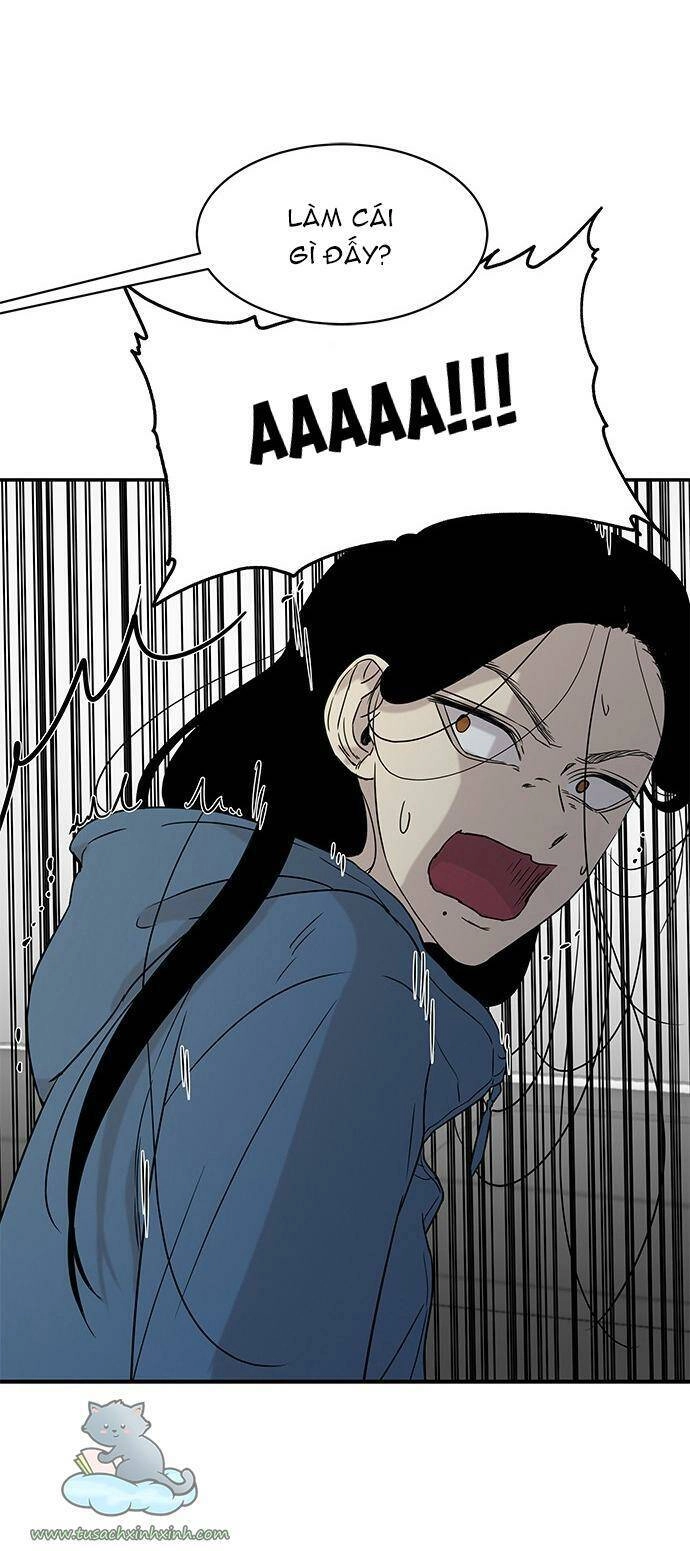 Cạm Bẫy Chapter 20 - 55